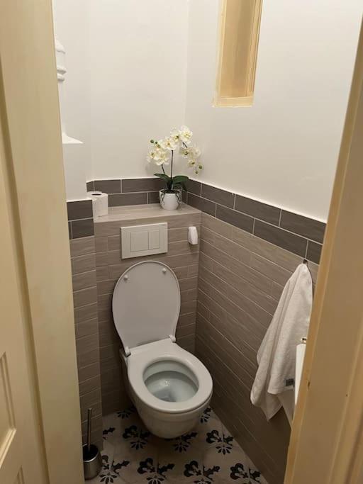 Beautiful Condo At The Old Town 布拉迪斯拉发 外观 照片